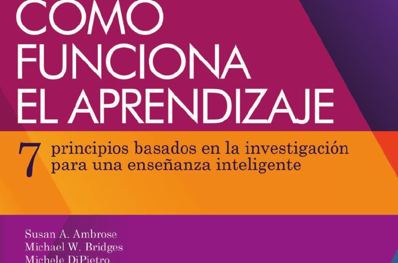 como-funcionan-los-programas-de-inmersion-linguistica-pasos-beneficios-y-donde-encontrarlos