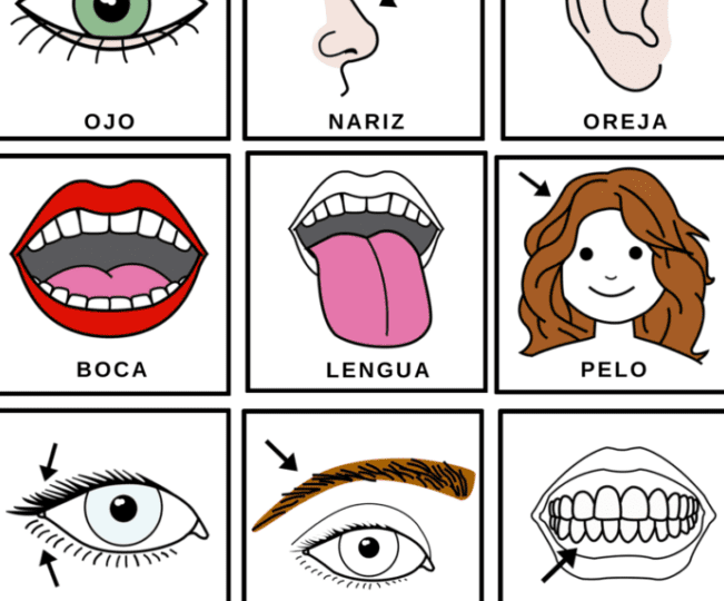 descarga-gratis-pictogramas-arasaac-para-imprimir-en-simples-pasos