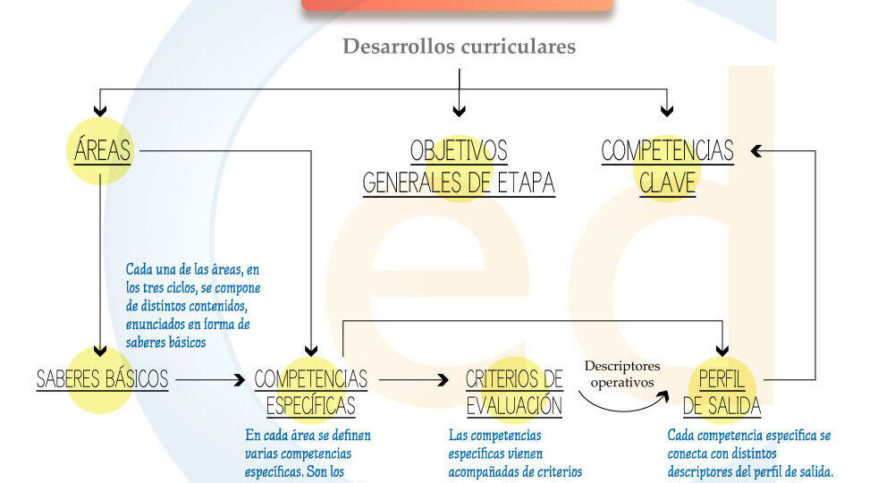 guia-completa-criterios-de-evaluacion-lomloe-para-primaria-como-aplicarlos-y-donde-encontrarlos