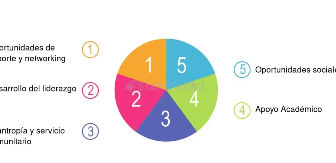 guia-completa-sobre-asociaciones-de-la-mujer-como-unirse-donde-encontrarlas-y-por-que-son-importantes-para-el-empoderamiento-femenino