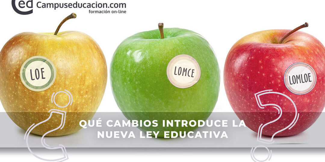 guia-completa-sobre-los-objetivos-de-la-etapa-lomloe-como-cumplirlos-y-donde-encontrar-informacion-relevante