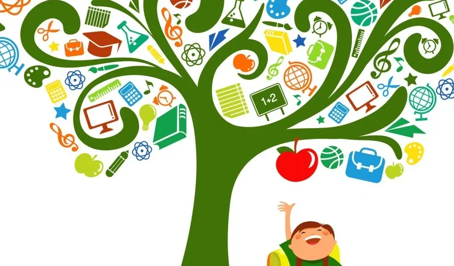 guia-paso-a-paso-como-desarrollar-competencia-aprender-a-aprender-y-mejorar-tus-habilidades-de-estudio