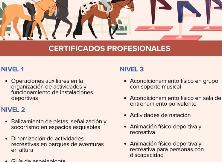 ministerio-de-educacion-donde-formarse-en-deportes-y-como-acceder-a-la-formacion-profesional