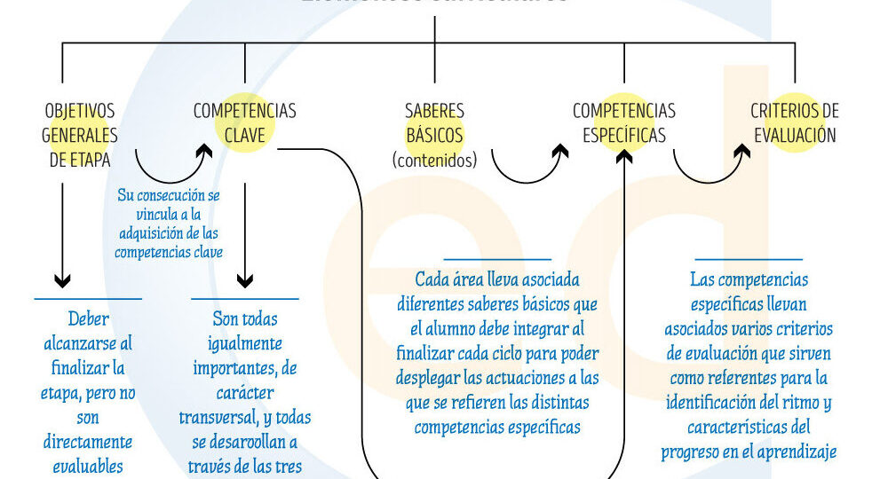 pasos-para-establecer-objetivos-educativos-en-la-etapa-de-educacion-infantil