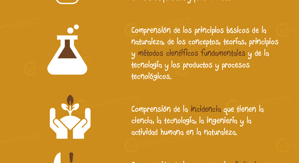 pasos-para-mejorar-la-competencia-digital-con-la-lomloe-claves-y-recomendaciones