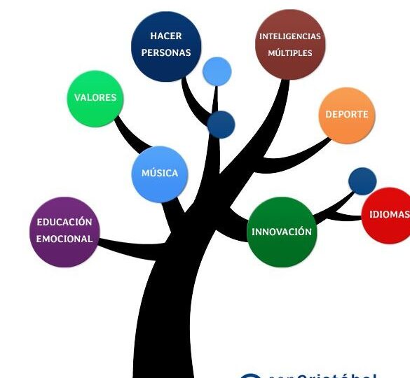 que-es-la-educacion-primaria-y-como-funciona-pasos-para-entenderla-y-donde-encontrar-la-informacion-necesaria