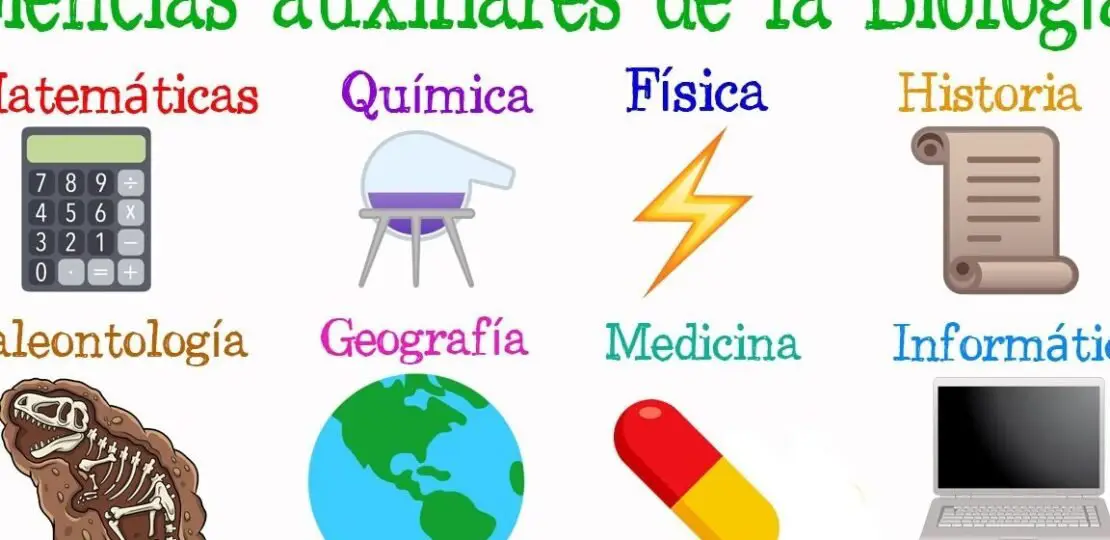 que-es-la-relacion-entre-biologia-y-geologia-descubre-como-se-complementan-en-la-investigacion-cientifica