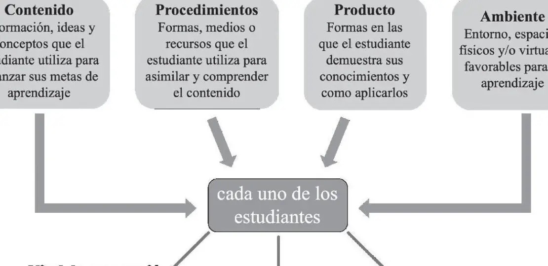 que-son-las-situaciones-de-aprendizaje-y-como-implementarlas-en-el-aula-de-forma-efectiva-aprende-los-pasos-para-crear-experiencias-educativas-enriquecedoras